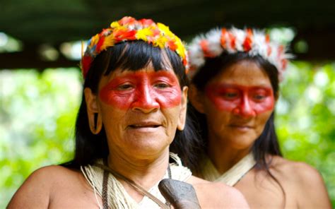 Toute la culture du Brésil du Nordeste à lAmazonie