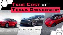 Tesla Model Y True Cost Of Ownership Over One Year