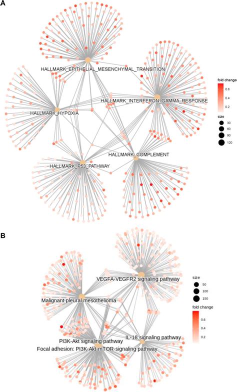 Frontiers Machine Learning Based Identification Of A Novel Prognosis