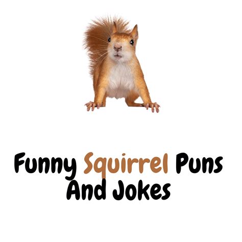 160+ Funny Squirrel Puns And Jokes for Hilarious Moments!