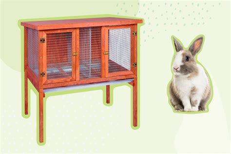 The 5 Best Indoor Rabbit Cages of 2023 | by The Spruce Pets