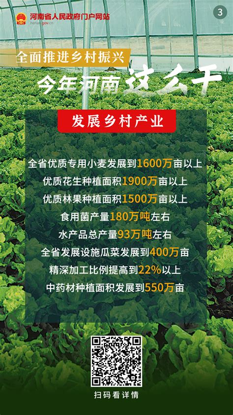 海报丨全面推进乡村振兴 今年河南这么干政策图解河南省人民政府门户网站