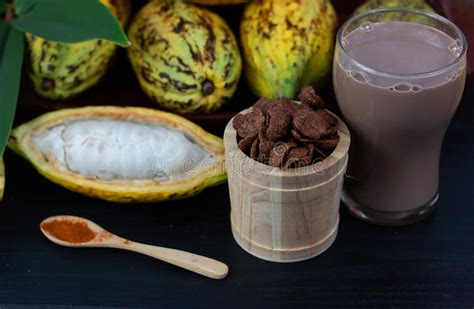 Fruta Fresca Del Cacao Con La Producci N De Los Productos Del Crujido