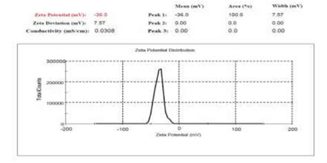 Zeta Potential Of Nanoparticles Loaded With Docetaxel Download Scientific Diagram