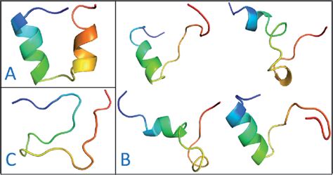 Representative Structures Of Intrinsically Disordered Proteins From