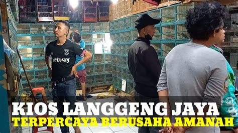 Review Harga Burung Di Pasar Burung Pramuka Kios Langgeng Jaya Youtube