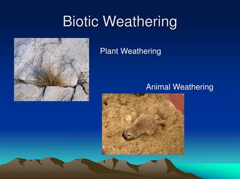 Ppt Weathering Erosion And Deposition Powerpoint Presentation Free Download Id 9514400