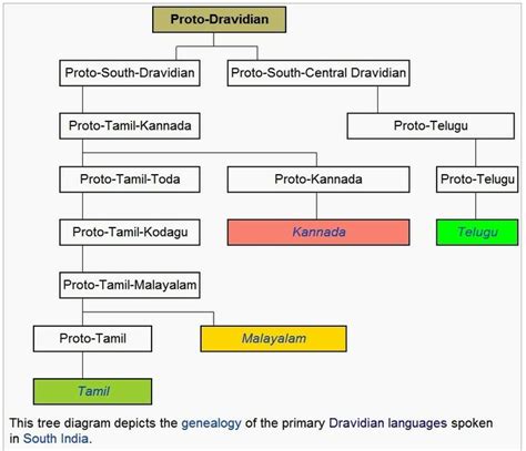 44 best images about Dravidian Culture on Pinterest | Language, Kumari ...