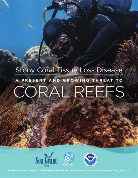 Pdf Prospectus For Stony Coral Tissue Loss Disease A Present And