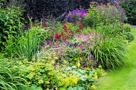 Wat Is Een Border In Je Tuin En Hoe Maak Je Er Eentje Ik Woon Fijn