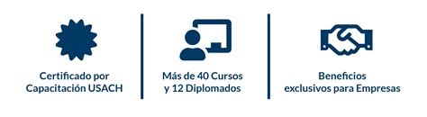 Diplomados En Ciberseguridad • Capacitación Usach