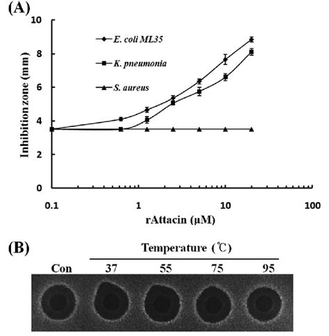 Antibacterial Activity And Thermal Stability Of Recombinant P Xuthus