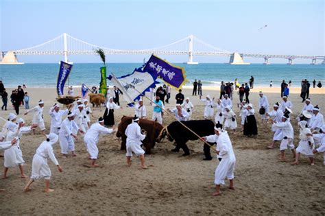 “전통 어촌문화 맛 보세요” 부산 광안리어방축제 헤럴드경제