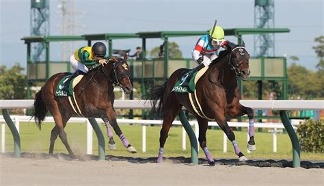 【シリウスステークス・秋風ステークス2023予想】3連単6点勝負！今週の無料競馬予想！ ｜ 3連単6点勝負！競馬で夢を叶える！3連単競馬予想に