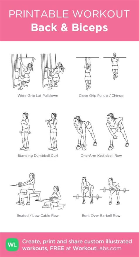 Back And Biceps · Free Workout By Workoutlabs Fit Bicep Workout Gym