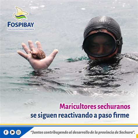 Reactivación de maricultores de la Bahía de Sechura se realiza a paso