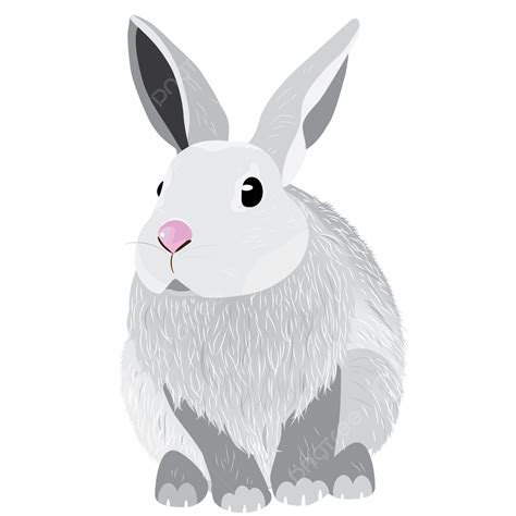 White Rabbit White Rabbit Rabbit Rabbit Cartoon Rabbit Png And