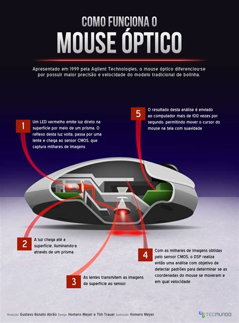 Infografia De El Mouse Images And Photos Finder