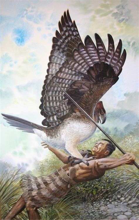 Harpagornis Moorei Attacks An Early Māori Settler In The Forests Of