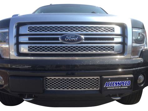 2009 2010 2011 2012 2013 2014 Ford F150 Lower Bumper Grille Insert 59