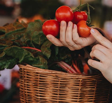 Claves Para Hacer Una Compra Saludable Y Tener Una Sana Alimentación