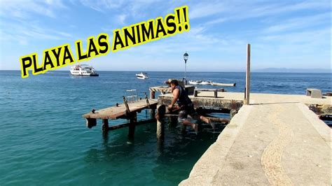 Nadando En Los Arcos De Mismaloya Y Playa Las Animas Puerto Vallarta