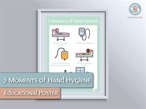 5 Moments Of Hand Hygiene Educational Poster Etsy Hand Hygiene