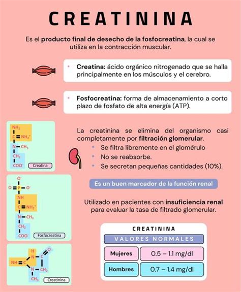 Creatinina Javier Rios Udocz