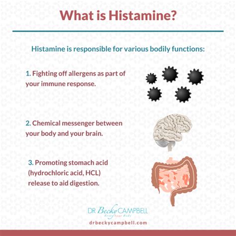 Understanding Histamine Intolerance Dr Becky Campbell