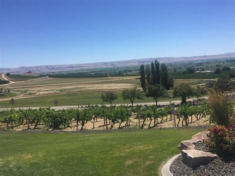 Sawtooth Winery Nampa Sawtooth Winery Yorumları Tripadvisor