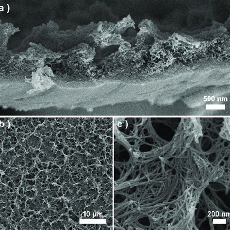 A Cross Sectional Scanning Electron Microscope SEM Image Of The