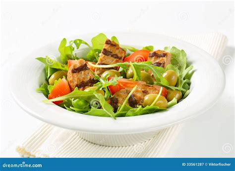 Rissol Grelhado Salada Do Legume Fresco Imagem De Stock Imagem De