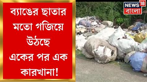 Bhangar News ব্যাঙের ছাতার মতো গজিয়ে উঠছে একের পর এক কারখানা ভাঙড়ে