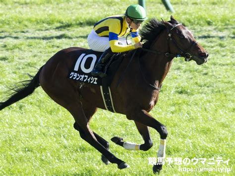 アスタートリゴン競走馬2019年産 成績｜地方競馬予想のウマニティ