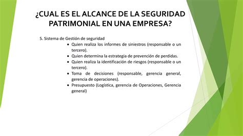 Alcance De La Seguridad Patrimonial PPT