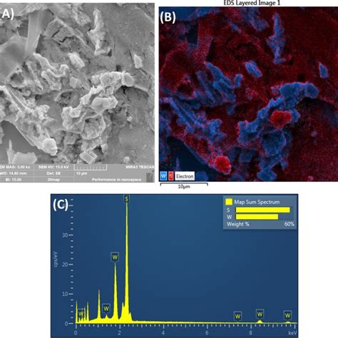 A FTIR Spectra Of Tungsten Disulfide WS2 B FTIR Spectra Of Tungsten