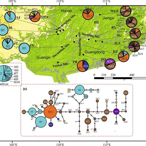 Geographical Distribution Median‐joining Network For 45 Chs Haplotypes