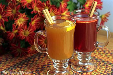 Spiced Hot Drink Mix Recipe