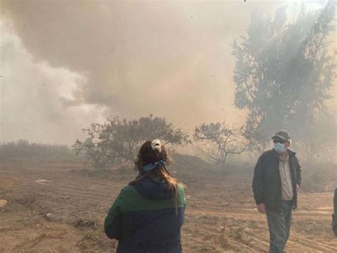 Quemas Agr Colas Y Forestales Estar N Prohibidas En Gran Parte De La Regi N