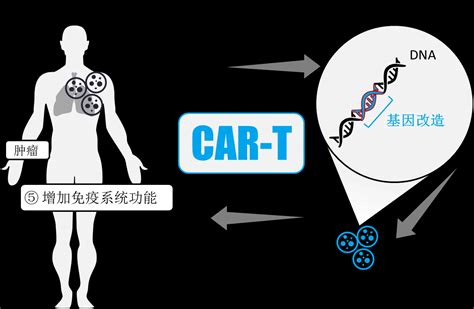 中国car T治疗晚期胃癌实体瘤细胞，客观缓解率高达486 知乎