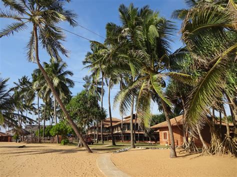 Strand Ranweli Holiday Village Waikkal Holidaycheck Sri Lanka