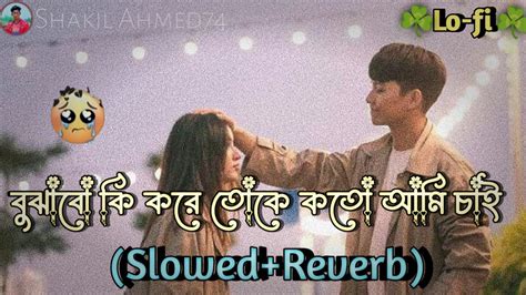 বোঝাবো কি করে তোকে কত আমি চাই Lo Fi Slowed Reverb Remix Songs Shakil Ahmed74 Youtube