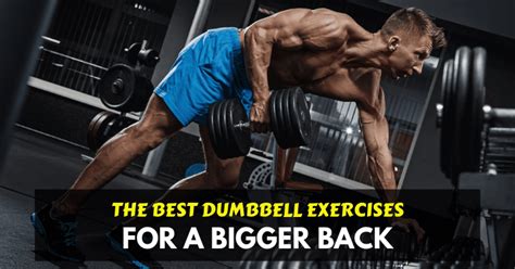 Best Back Exercises At Home With Dumbbells Eoua Blog