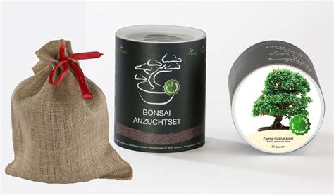 Seedeo Bonsai Geschenk Set Zwerg Granatapfel Punica Granatum Nana