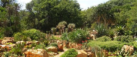 Walter Sisulu National Botanical Garden (GL)