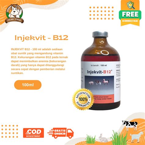 Jual Injekvit B Ml Medion Obat B Untuk Perbaiki Kondisi Tubuh