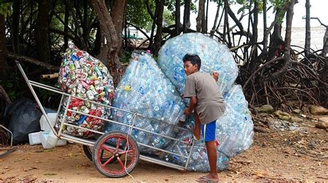 Hoje Dia Do Catador De Material Recicl Vel Um Agente Da