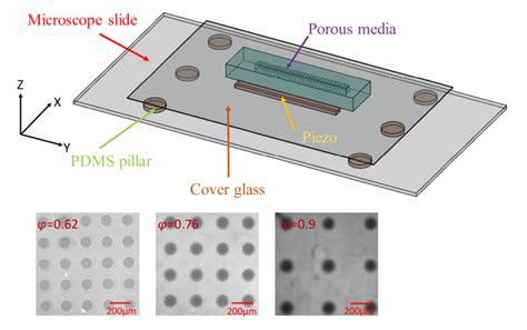 A Schematic Diagram Of The Microfluidic Device Used In This