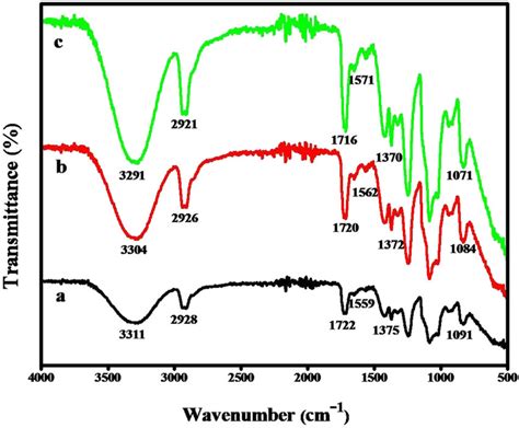 Ftir Spectra Of A P B Mg Tio Nanorods C Mg Tio Nanorods