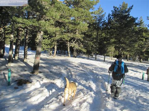 Monta A Para Todas Las Edades La Pista De Fondo De Valdelinares